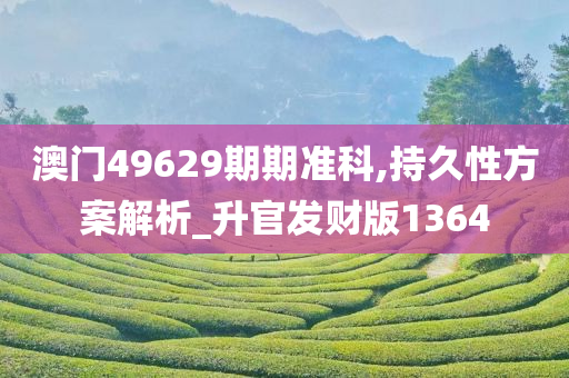 澳门49629期期准科,持久性方案解析_升官发财版1364