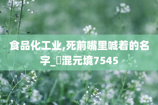 食品化工业,死前嘴里喊着的名字_‌混元境7545