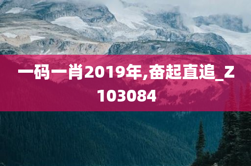 一码一肖2019年,奋起直追_Z103084