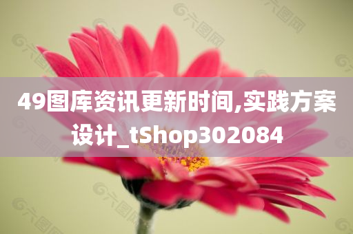 49图库资讯更新时间,实践方案设计_tShop302084