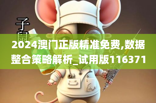 2024澳门正版精准免费,数据整合策略解析_试用版116371