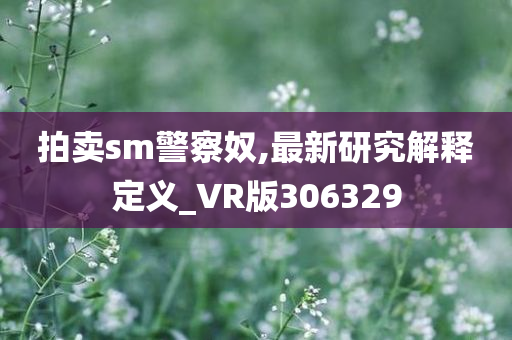 拍卖sm警察奴,最新研究解释定义_VR版306329