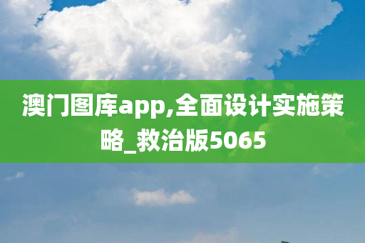 澳门图库app,全面设计实施策略_救治版5065