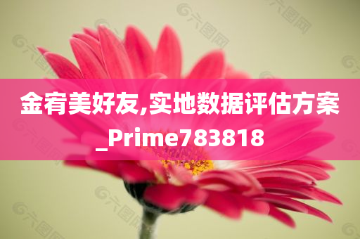 金宥美好友,实地数据评估方案_Prime783818