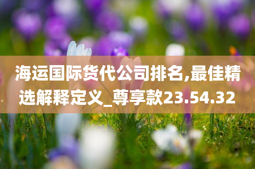 海运国际货代公司排名,最佳精选解释定义_尊享款23.54.32