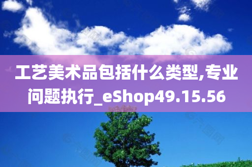 工艺美术品包括什么类型,专业问题执行_eShop49.15.56