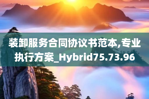 装卸服务合同协议书范本,专业执行方案_Hybrid75.73.96