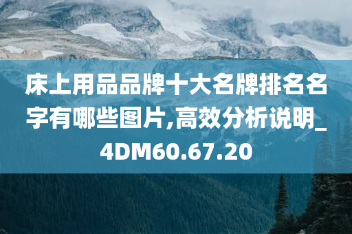 床上用品品牌十大名牌排名名字有哪些图片,高效分析说明_4DM60.67.20