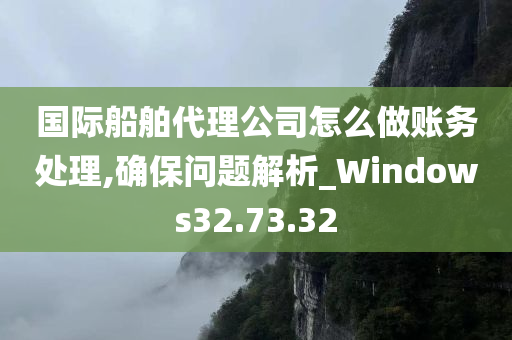 国际船舶代理公司怎么做账务处理,确保问题解析_Windows32.73.32