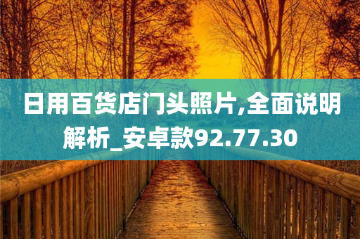 日用百货店门头照片,全面说明解析_安卓款92.77.30