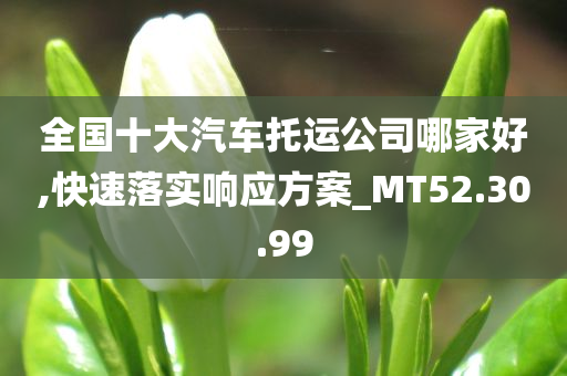 全国十大汽车托运公司哪家好,快速落实响应方案_MT52.30.99