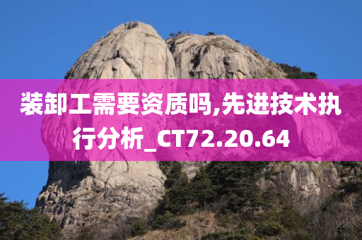 装卸工需要资质吗,先进技术执行分析_CT72.20.64