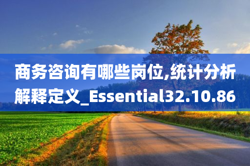 商务咨询有哪些岗位,统计分析解释定义_Essential32.10.86