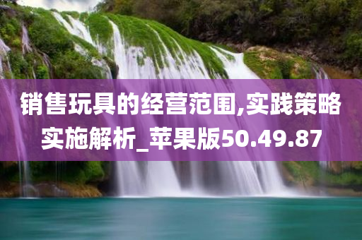 销售玩具的经营范围,实践策略实施解析_苹果版50.49.87