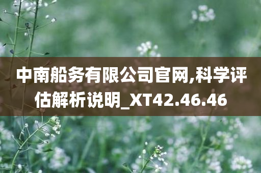 中南船务有限公司官网,科学评估解析说明_XT42.46.46