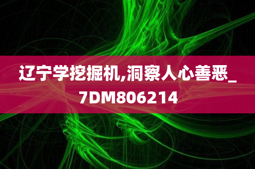 辽宁学挖掘机,洞察人心善恶_7DM806214