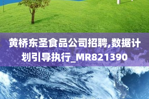 黄桥东圣食品公司招聘,数据计划引导执行_MR821390