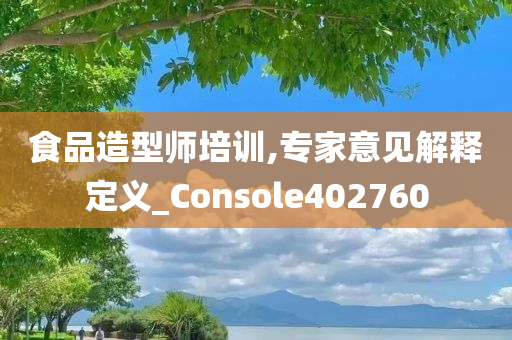 食品造型师培训,专家意见解释定义_Console402760