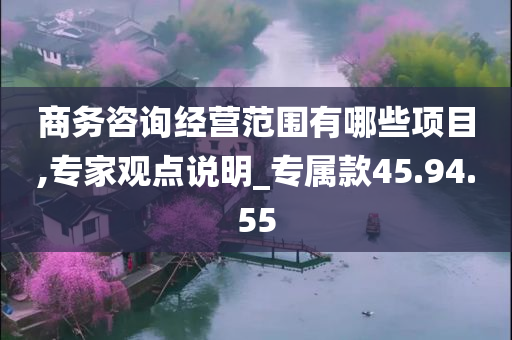 商务咨询经营范围有哪些项目,专家观点说明_专属款45.94.55