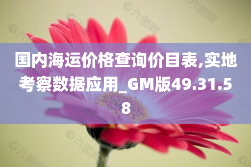 国内海运价格查询价目表,实地考察数据应用_GM版49.31.58