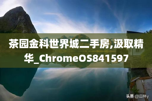 茶园金科世界城二手房,汲取精华_ChromeOS841597