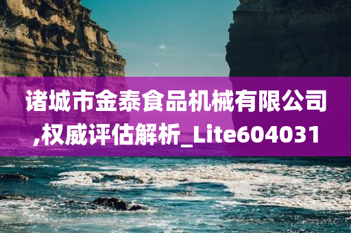 诸城市金泰食品机械有限公司,权威评估解析_Lite604031