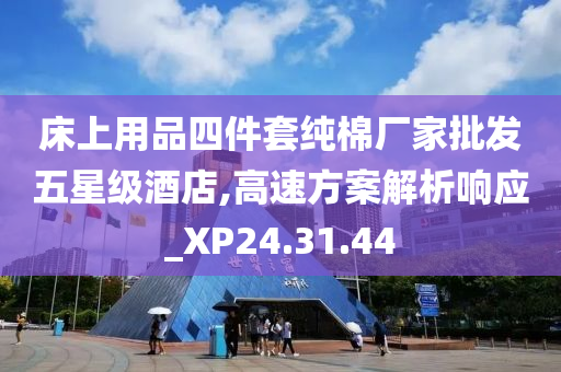 床上用品四件套纯棉厂家批发五星级酒店,高速方案解析响应_XP24.31.44