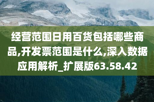 经营范围日用百货包括哪些商品,开发票范围是什么,深入数据应用解析_扩展版63.58.42