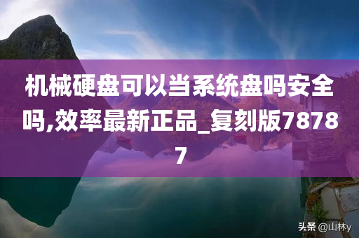 机械硬盘可以当系统盘吗安全吗,效率最新正品_复刻版78787