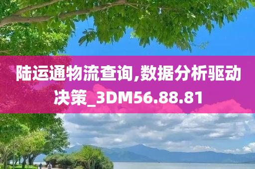 陆运通物流查询,数据分析驱动决策_3DM56.88.81