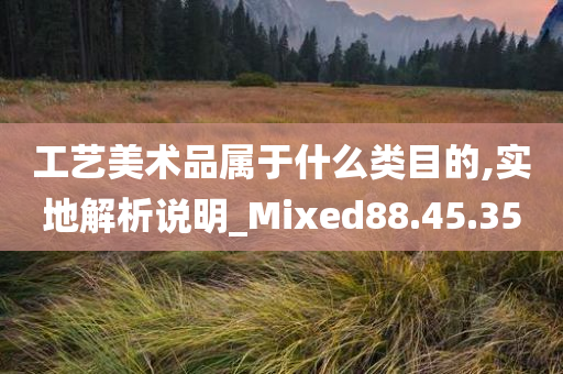 工艺美术品属于什么类目的,实地解析说明_Mixed88.45.35