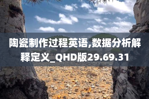 陶瓷制作过程英语,数据分析解释定义_QHD版29.69.31