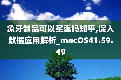 象牙制品可以买卖吗知乎,深入数据应用解析_macOS41.59.49