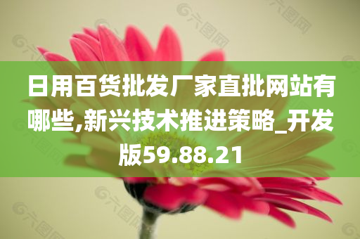 日用百货批发厂家直批网站有哪些,新兴技术推进策略_开发版59.88.21