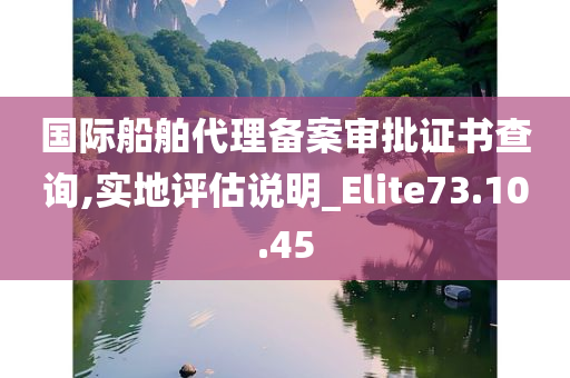 国际船舶代理备案审批证书查询,实地评估说明_Elite73.10.45