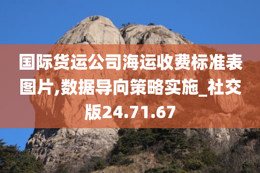 国际货运公司海运收费标准表图片,数据导向策略实施_社交版24.71.67