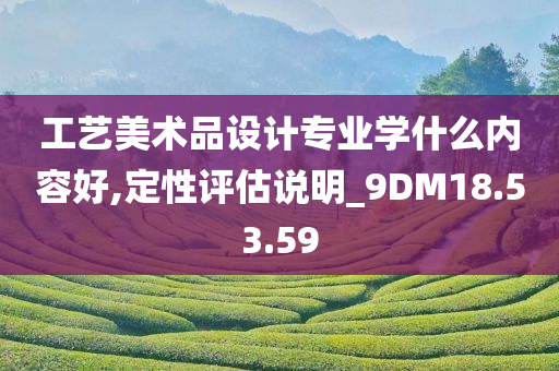 工艺美术品设计专业学什么内容好,定性评估说明_9DM18.53.59