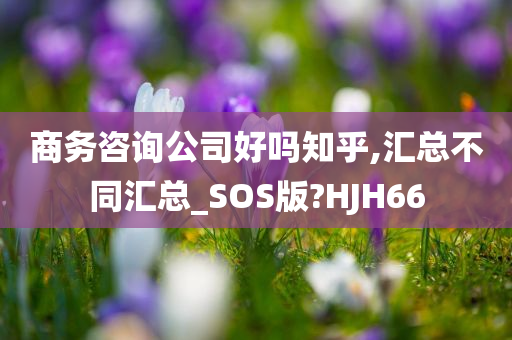 商务咨询公司好吗知乎,汇总不同汇总_SOS版?HJH66