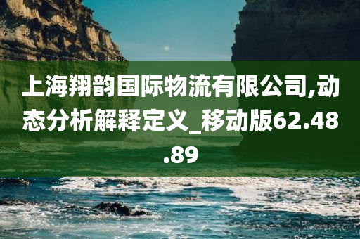 上海翔韵国际物流有限公司,动态分析解释定义_移动版62.48.89