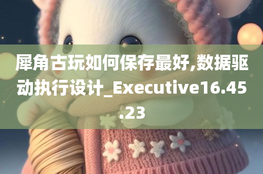 犀角古玩如何保存最好,数据驱动执行设计_Executive16.45.23