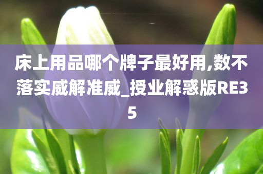 床上用品哪个牌子最好用,数不落实威解准威_授业解惑版RE35