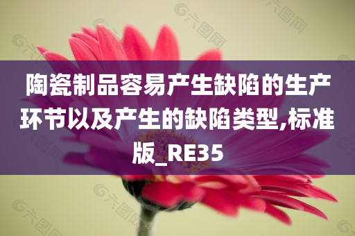 陶瓷制品容易产生缺陷的生产环节以及产生的缺陷类型,标准版_RE35