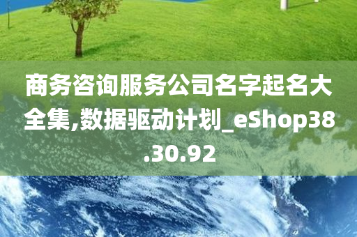 商务咨询服务公司名字起名大全集,数据驱动计划_eShop38.30.92