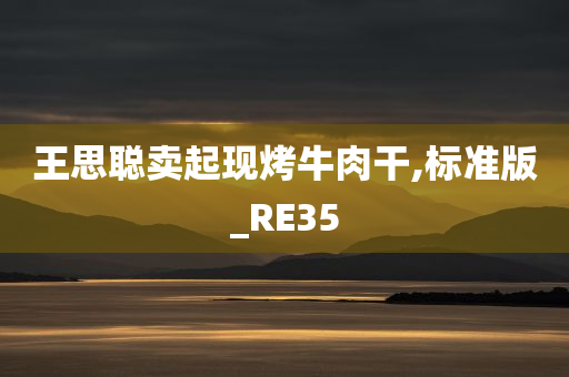 王思聪卖起现烤牛肉干,标准版_RE35