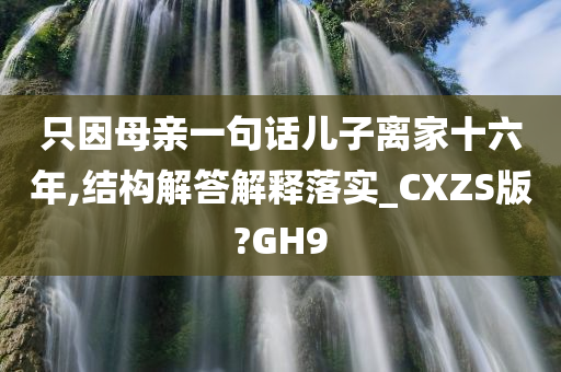 只因母亲一句话儿子离家十六年,结构解答解释落实_CXZS版?GH9