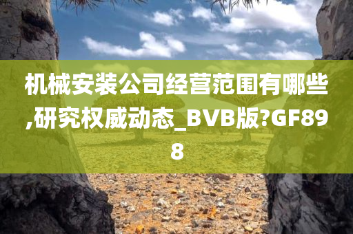 机械安装公司经营范围有哪些,研究权威动态_BVB版?GF898