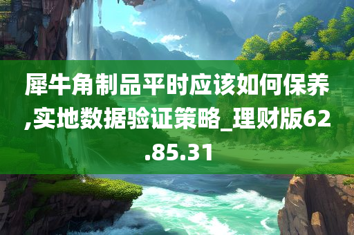 犀牛角制品平时应该如何保养,实地数据验证策略_理财版62.85.31