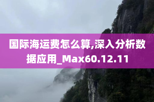 国际海运费怎么算,深入分析数据应用_Max60.12.11