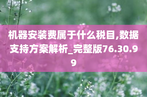 机器安装费属于什么税目,数据支持方案解析_完整版76.30.99