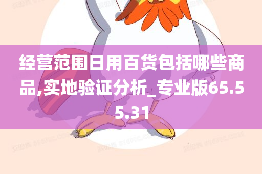 经营范围日用百货包括哪些商品,实地验证分析_专业版65.55.31